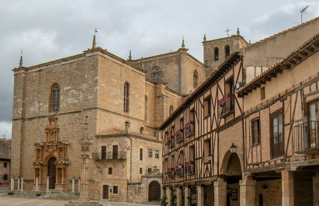 Visita guiada por la excolegiata de Santa Ana - Foto 3