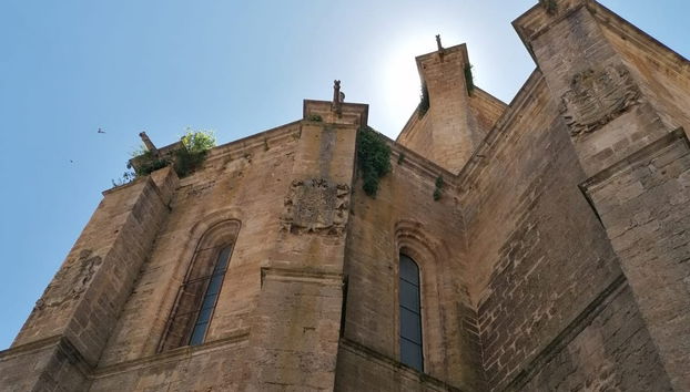 Visita guiada por la excolegiata de Santa Ana - Foto 5