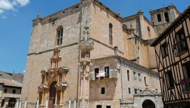 Visita guiada por la excolegiata de Santa Ana - Foto 4