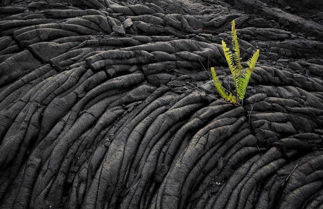 Tour por el Parque Nacional de los Volcanes de Hawái - Foto 2