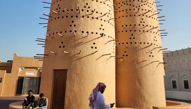 Oferta: Tour por Doha + Desert Safari - Foto 3