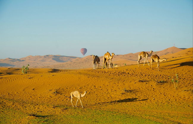 Paseo en globo por el desierto de Ras al Khaimah al amanecer - Foto 4
