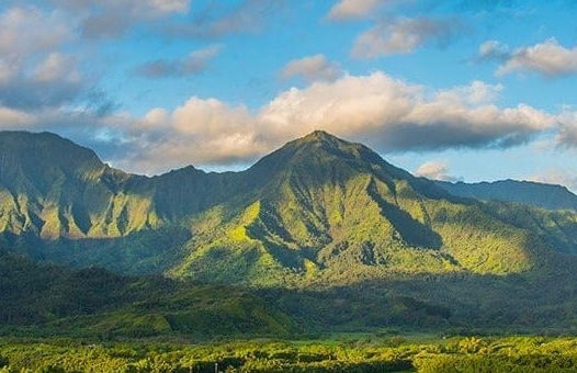 Excursion à Kauai en avion - Photo 7