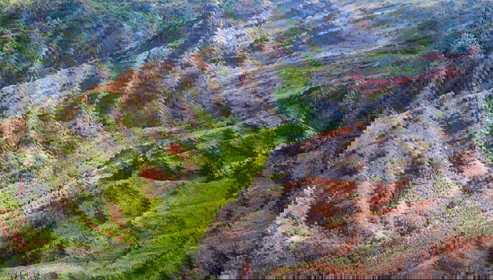 Kauai Day Trip - Photo 1