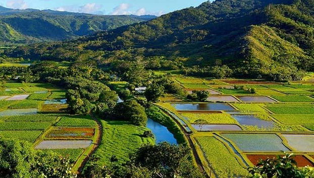 Kauai Day Trip - Photo 5