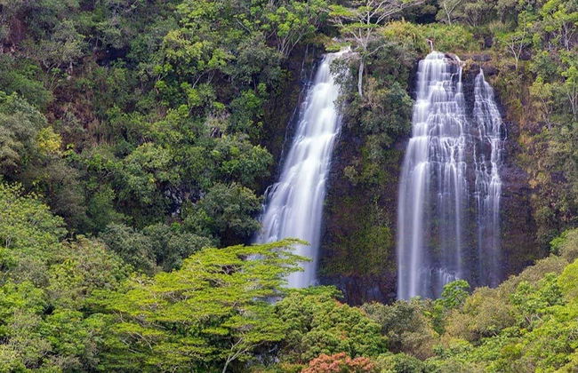 Kauai Day Trip - Photo 3