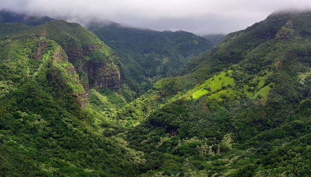 Kauai Day Trip - Photo 4