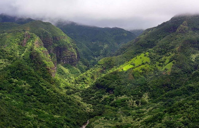 Kauai Day Trip - Photo 4