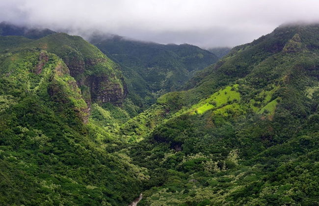 Excursion à Kauai en avion - Photo 4