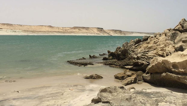 Tour privado en 4x4 por la Duna Blanca de Dajla - Foto 5