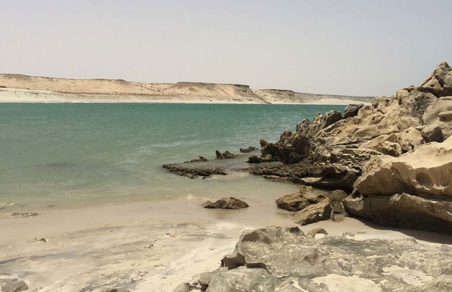 Tour privado en 4x4 por la Duna Blanca de Dajla - Foto 5