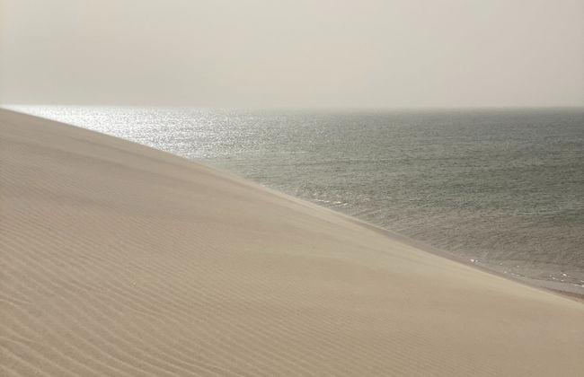 Tour privado en 4x4 por la Duna Blanca de Dajla - Foto 3