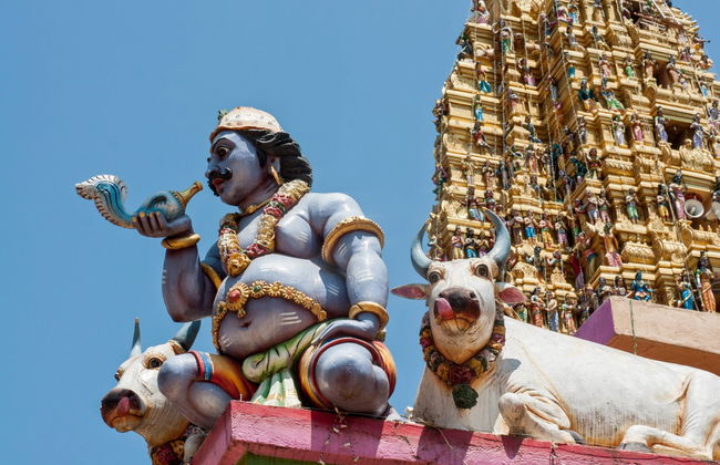 Visita guiada por Colombo - Foto 7