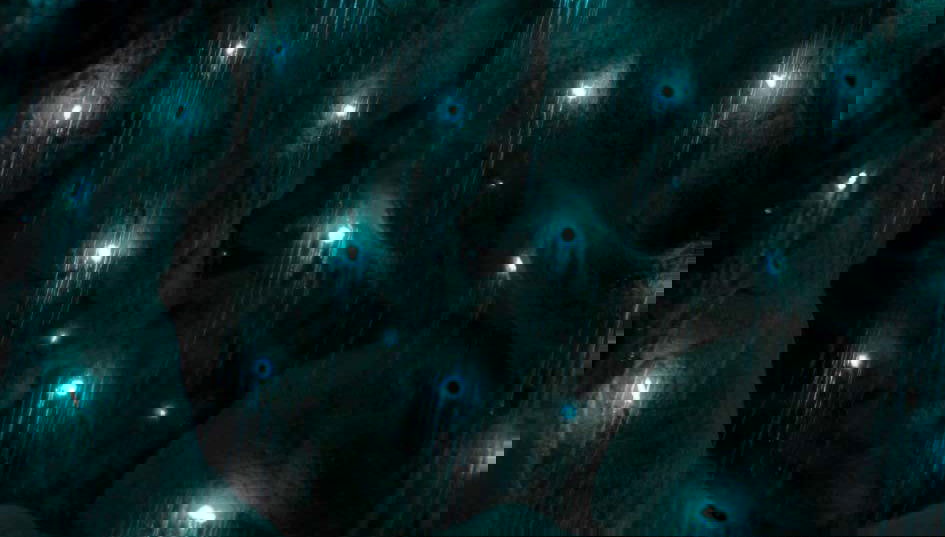 Kawiti Glowworm Caves, Hundertwasser Exhibition Centre & Opua Forest Tour - Photo 1