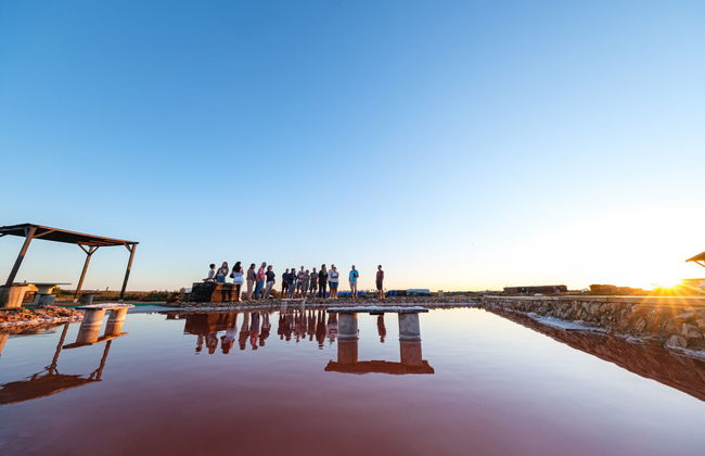 Visita guiada pelas salinas del Alemán - Foto 2