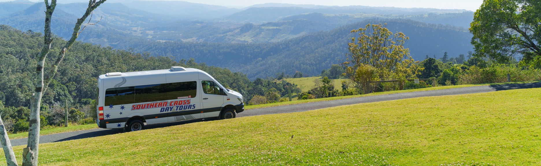 Lamington National Park + O'Reilly's Vineyard Tour - Foto 1