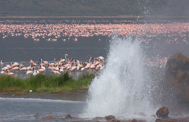 Private 2-Day Tour of Lake Bogoria - Photo 2