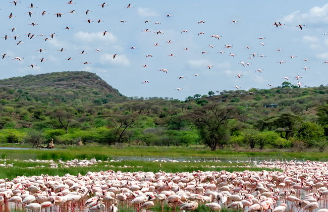 Private 2-Day Tour of Lake Bogoria - Photo 3