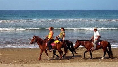 Machalilla National Park Horseback Ride - Foto 1