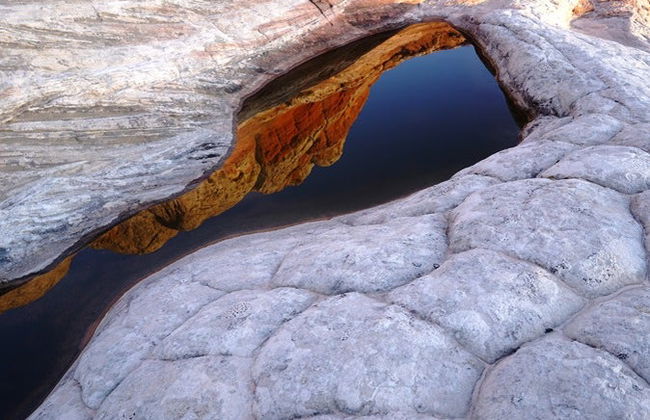 Excursión a White Pocket - Foto 4