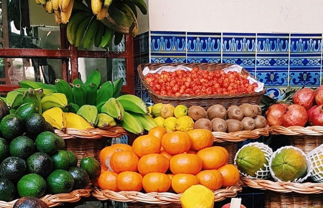 Visita à fazendas agrícolas do Funchal - Foto 2