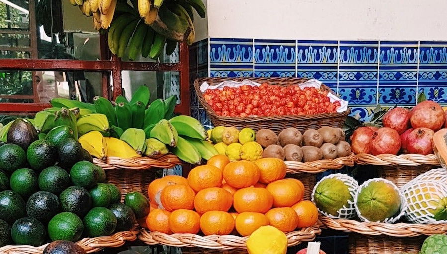 Visita à fazendas agrícolas do Funchal - Foto 2
