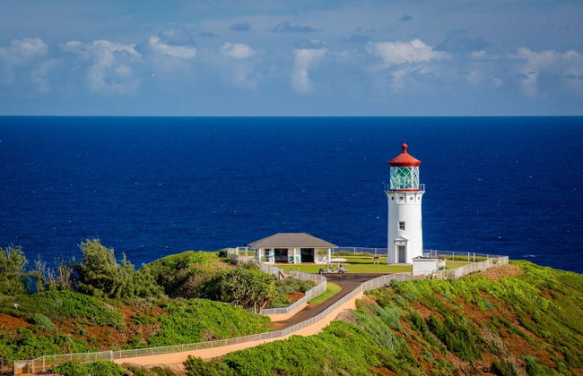 Tour dei set cinematografici a Kauai - Foto 5