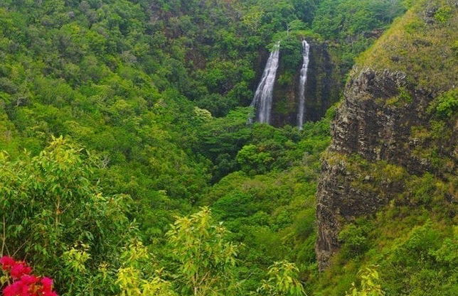 Kauai Movie Tour - Photo 3