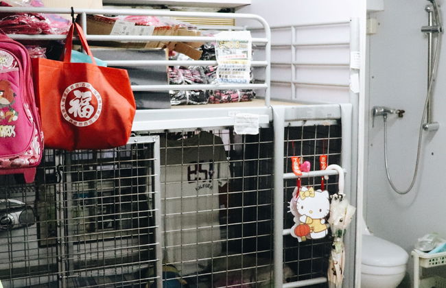 Visita guiada por Mong Kok - Foto 12