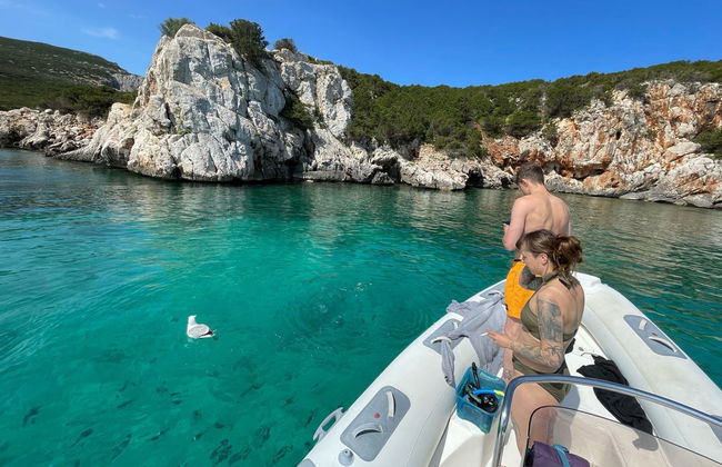 Snorkeling in Porto Conte Natural Park - Photo 2