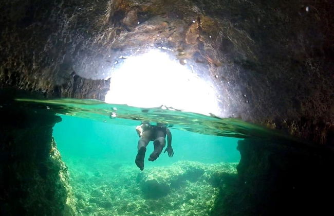 Snorkeling in Porto Conte Natural Park - Photo 7
