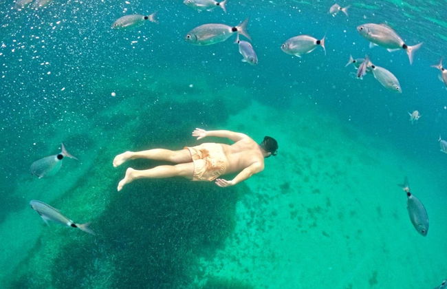 Snorkeling in Porto Conte Natural Park - Photo 3