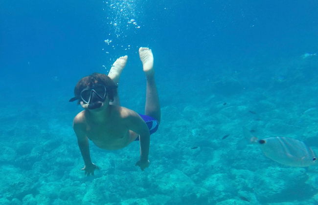 Snorkeling in Porto Conte Natural Park - Photo 4