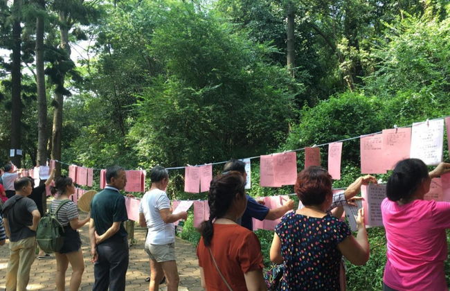 Chengdu Guided Walking Tour - Photo 3