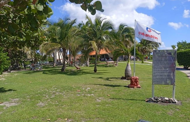 Excursão a Caleta Buena - Foto 6