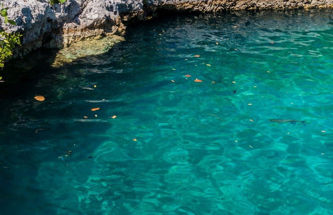 Excursão a Caleta Buena - Foto 7