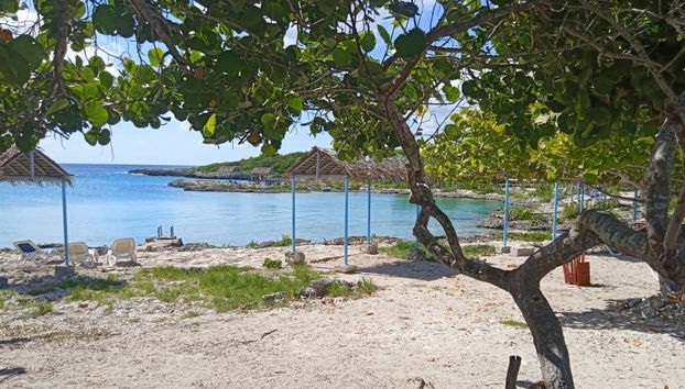 The perfect place to destress!