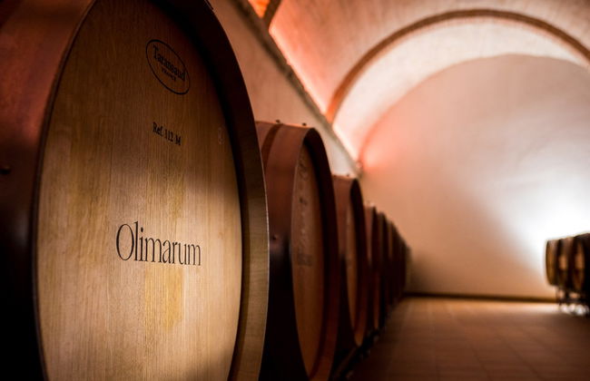 Visita às vinícolas Olimarum - Foto 4