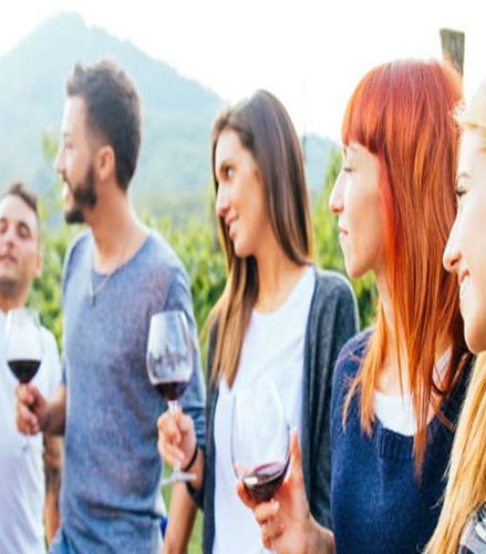 Foto de Excursión de un día completo a Mount Tamborine con cata de vinos desde Brisbane