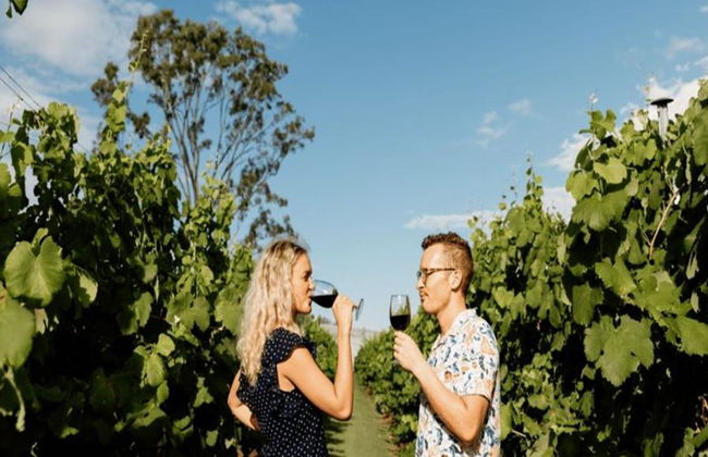 Excursión de un día completo a Mount Tamborine con cata de vinos desde Brisbane - Foto 6