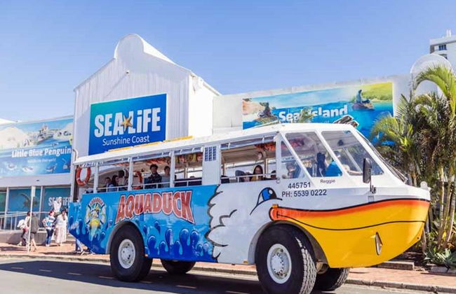 Aquaduck Tours Sunshine Coast - Foto 6