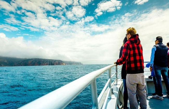Crucero por la naturaleza salvaje de Bruny Island y traslado en autobús desde Hobart - Foto 3