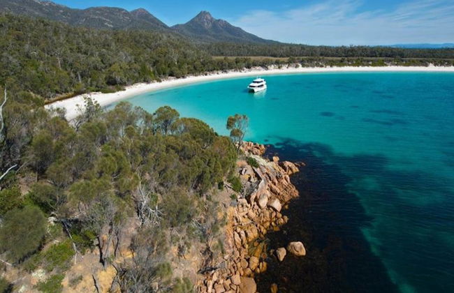 Crucero por la naturaleza salvaje de Bruny Island y traslado en autobús desde Hobart - Foto 6