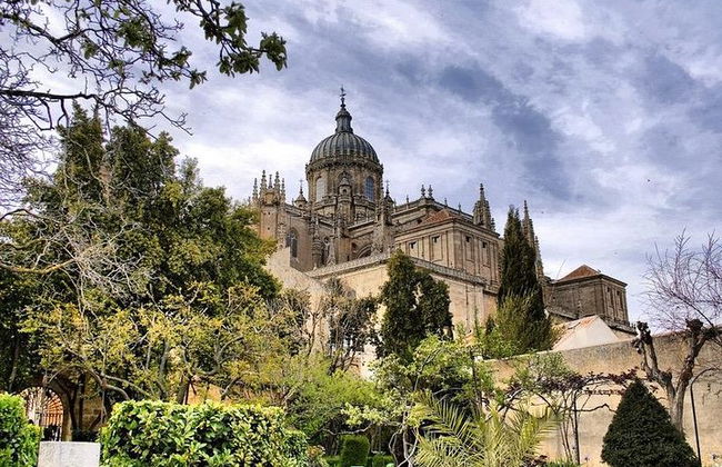 Tour privato a piedi di 3 ore di Salamanca - Foto 2
