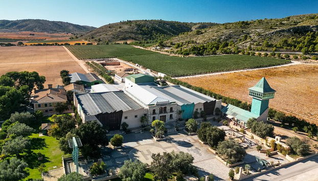 Private Helicopter Ride and Winery Tour - Photo 2