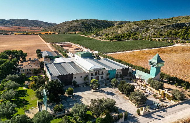 Private Helicopter Ride and Winery Tour - Photo 2