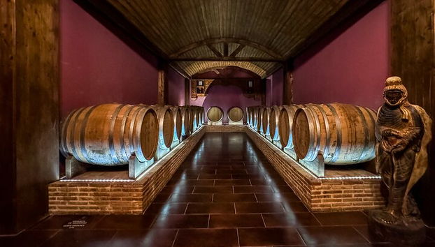 Private Helicopter Ride and Winery Tour - Photo 4