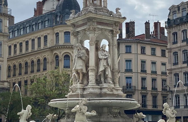Lyon Saint Exupéry Aeropuerto (LYS) Traslado privado a Lyon City - Foto 7