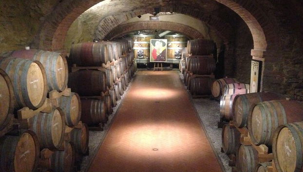 Toskana Weintour vom Hafen Livorno - Foto 4