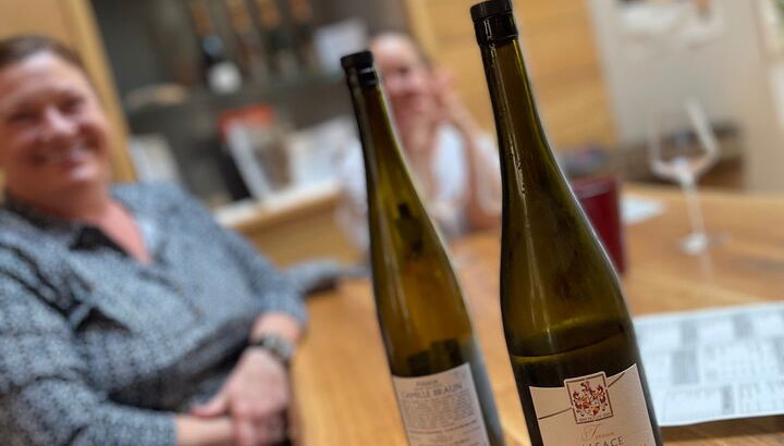 Tour de cata de vinos Guía de conductor privado - Foto 1